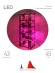 GA-House -5 Теплица GREEN APPLE GA-House -5 со светильниками в комплекте 5 ярусов 1930х690х490 мм