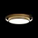 Потолочный светодиодный светильник Loft IT Mike 10169