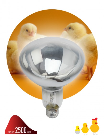 Б0055440 Инфракрасная лампа ЭРА ИКЗ 220-250 R127 кратность 1 шт Е27 / E27 для обогрева животных и освещения 250 Вт