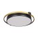 Потолочный светодиодный светильник Loft IT Mike 10170
