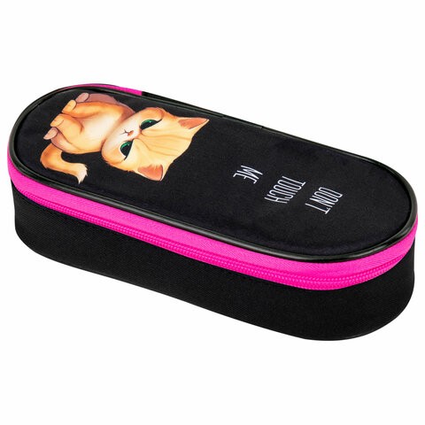 Пенал-футляр BRAUBERG, 1 отделение, органайзер, полиэстер, 22x9х5 см, "Angry kitty", 273566