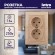 Б0053680 Розетка Intro Solo 4-205-11 с заземлением двойная 2X2P+E Schuko, 16А-250В, IP20, СУ, сосна
