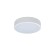 Потолочный светодиодный светильник Loft IT Axel 10002/12 white