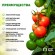 GWDK20-071 GWDK20-071 GREEN APPLE Набор для автоматического микрокапельного полива (20/120)
