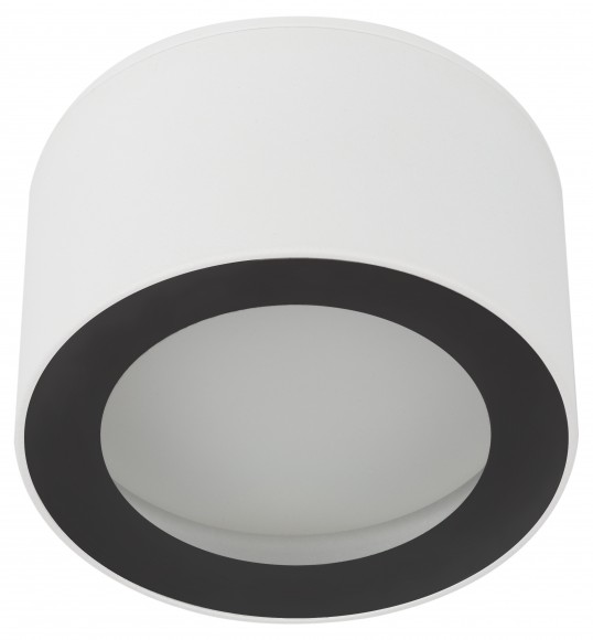 Б0055581 Светильник настенно-потолочный спот ЭРА OL28 WH/BK GX53, черно-белый, IP44