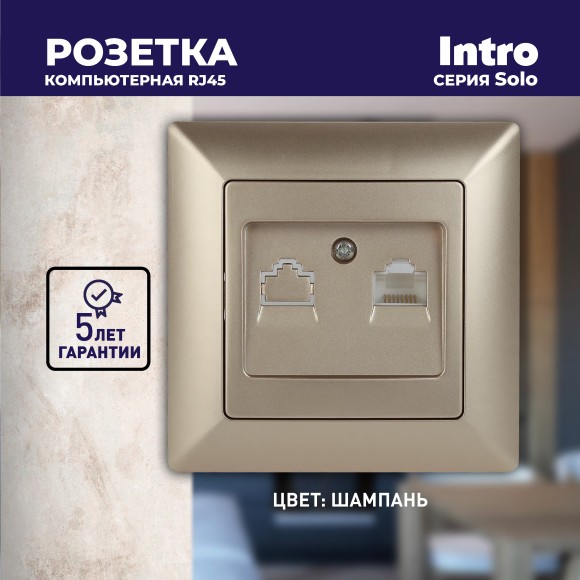 Б0043385 Розетка Intro Solo 4-303-04 информационная RJ45, СУ, шампань