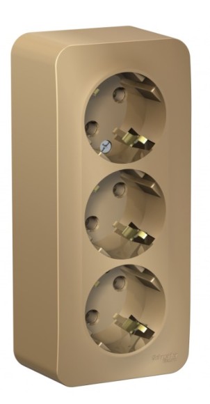 Розетка Schneider Electric BLANCA, О/У, 3-я, с заземлением, без шторок, титан BLNRA010314