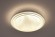 Потолочный светодиодный светильник Escada 10268/S LED