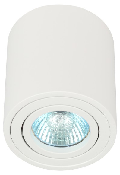 Б0054392 Светильник настенно-потолочный спот ЭРА OL21 WH MR16/GU10, белый, поворотный