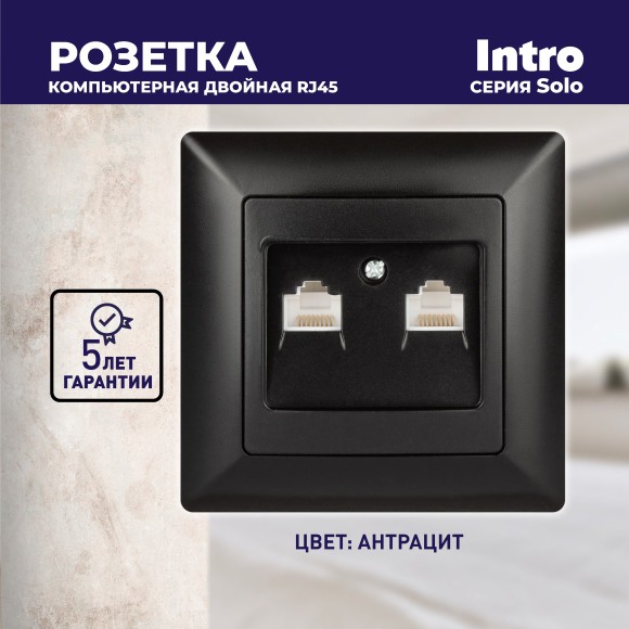 Б0043393 4-304-05 Intro Розетка информационная 2xRJ45, СУ, Solo, антрацит