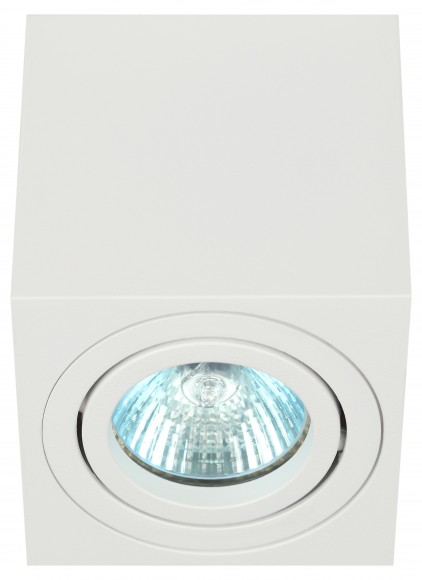 Б0054394 Светильник настенно-потолочный спот ЭРА OL22 WH MR16/GU10, белый, поворотный