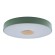 Потолочный светодиодный светильник Loft IT Axel 10003/24 green