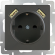 Розетка с заземлением, шторками и USBх2 (серо-коричневый WL07-SKGS-USBx2-IP20