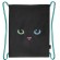 Папка на молнии с ручками А4, мешок для обуви 42х33 см, пенал 20х10 см, "Black cat" НАБОР BRAUBERG, 271434