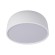 Потолочный светодиодный светильник Loft IT Axel 10201/350 White