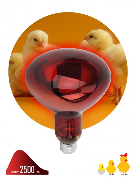 Инфракрасная лампа ЭРА ИКЗК 230-150 R127 кратность 1 шт Е27 / E27 для обогрева животных и освещения 150 Вт