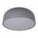 Потолочный светодиодный светильник Loft IT Axel 10201/480 Grey