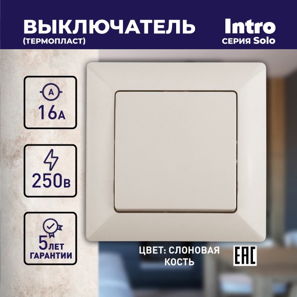 Б0043264 4-101-02 Intro Выключатель, 10А-250В, СУ, Solo, сл.кость (10/200/2400)