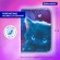 Пенал BRAUBERG, 1 отделение, 1 откидная планка, полиэстер, 21х14 см, "Anime cat", 272322