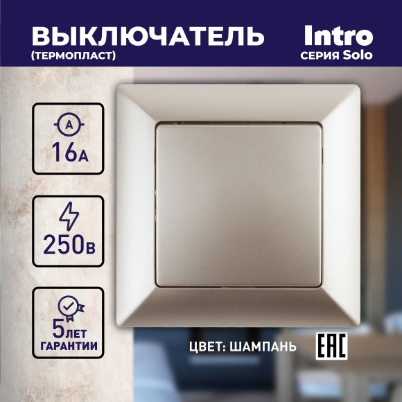 Б0043266 4-101-04 Intro Выключатель, 10А-250В, СУ, Solo, шампань (10/200/2000)