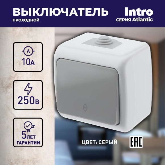 Б0050942 Переключатель Intro Atlantic 5-103-03 10А-250В, IP54, открытой установки, серый