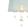 Настенный светильник Indigo Tenerezza 13029/1W Brass V000511