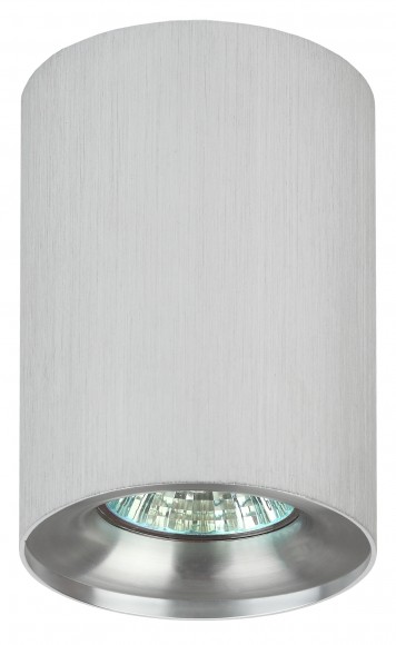 Светильник настенно-потолочный спот ЭРА OL1 GU10 SL/CH под лампу MR16/GU10 серебро/хром IP20