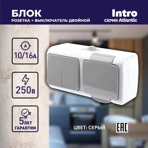 Б0050948 Блок розетка с выключателем Intro Atlantic 5-702-03 двойным 2P+E, 10(16)А-250В, открытой установки, IP54, серый