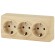 Б0020705 11-2209-11 ЭРА Розетка 3х2P+E Schuko со шторками, 16A-250В, IP20, ОУ, Эра Эксперт, сосна (6/60/1200)