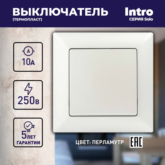 Б0053551 Выключатель Intro Solo 4-101-06 одноклавишный 10А-250В, IP20, СУ, перламутр
