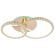 Потолочная светодиодная люстра Profit Light 8052/2 FGD