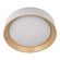 Потолочный светодиодный светильник Loft IT Coin 10202 White